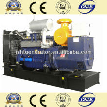 200kw Styer WD615.46D Diesel Aggregat Set